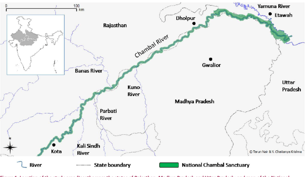 eastern rajasteastern rajasthan canal project